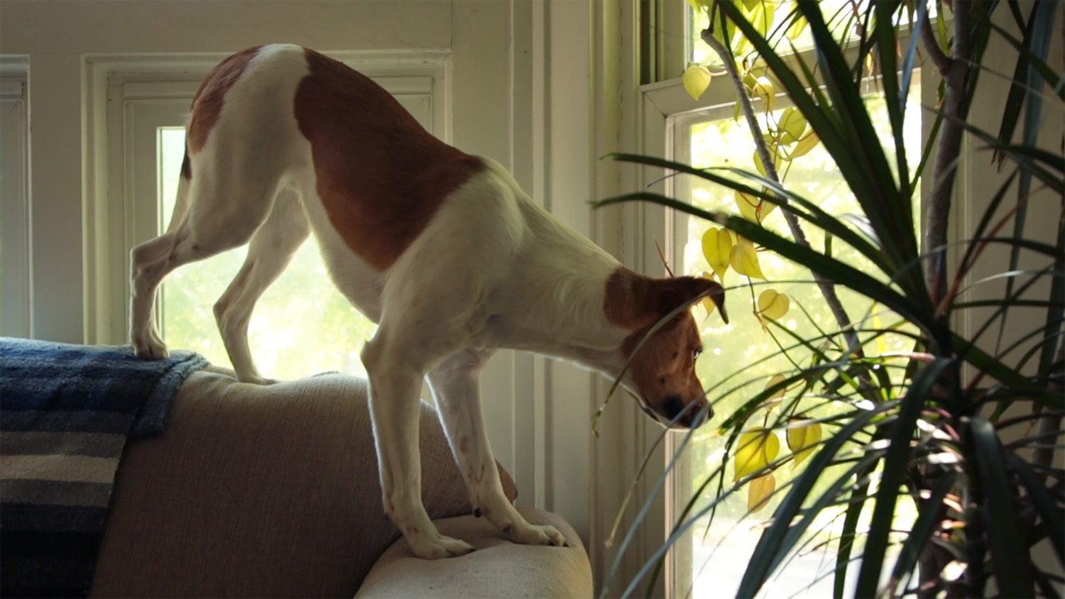 Exhib Art Whenitrains02