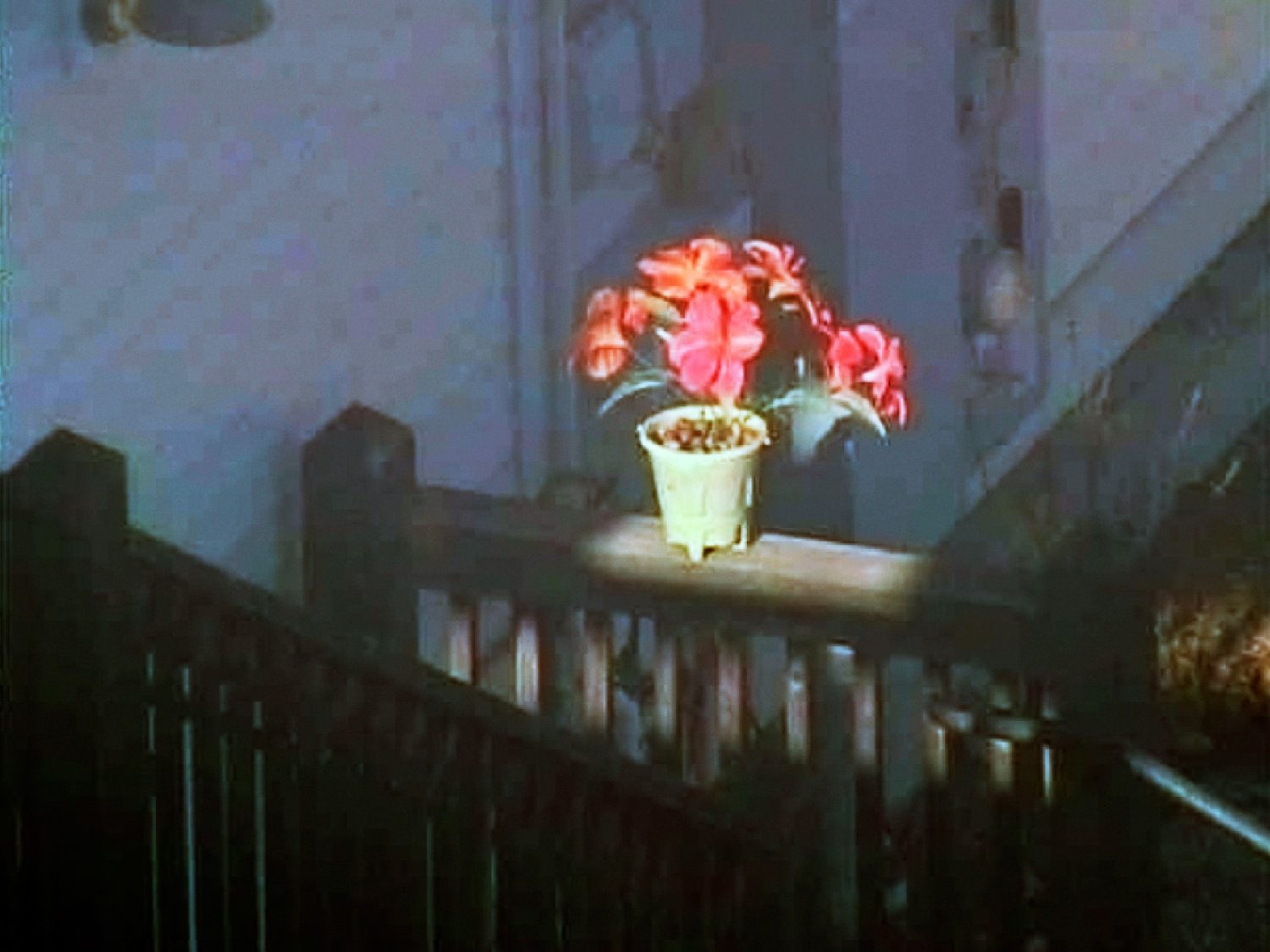 Administration, Kandahar Airfield, 2010.