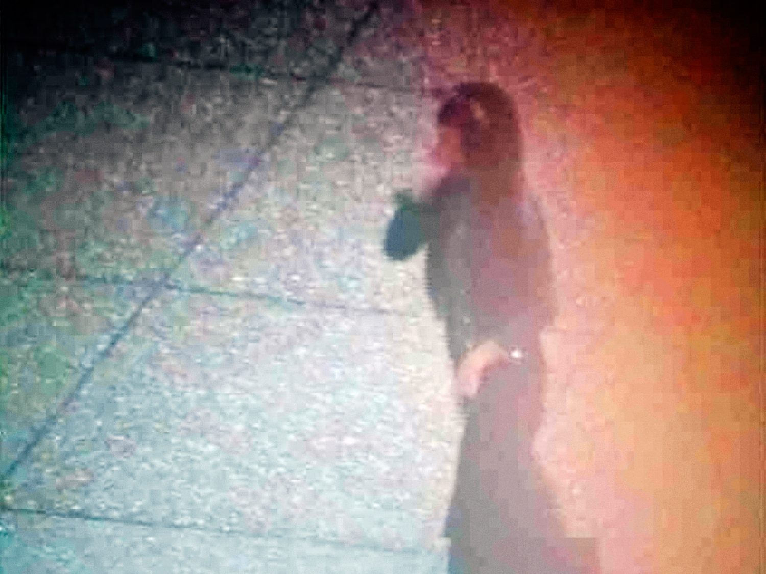 Laser Guided Democracy, 2014