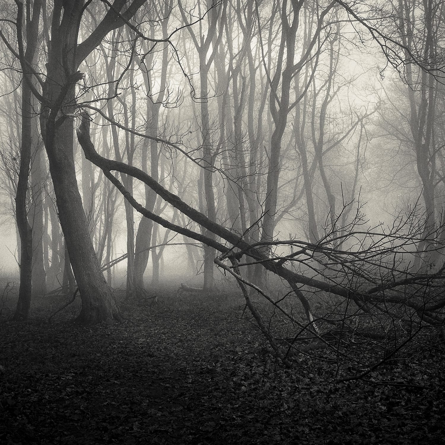 Secp Pricebradley 20180904 031