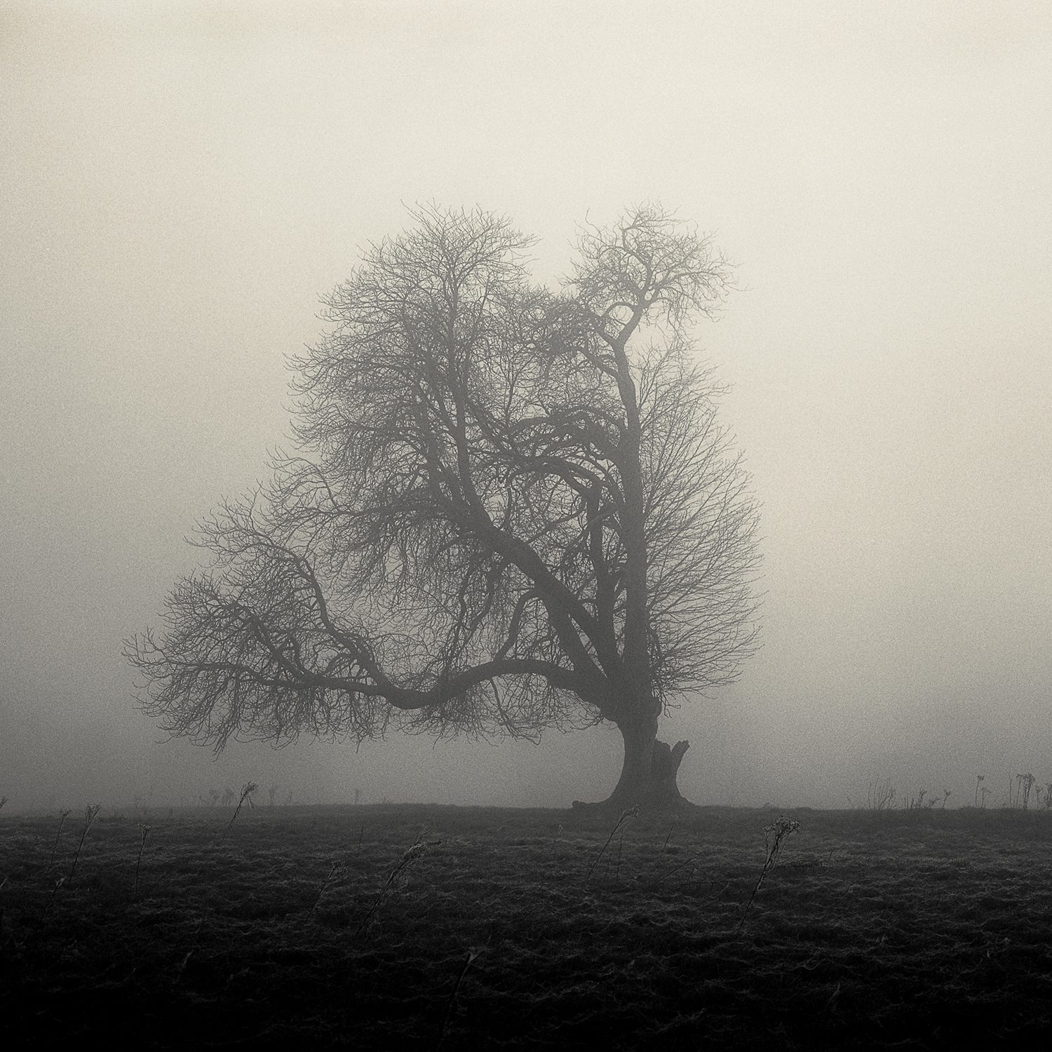 Secp Pricebradley 20180904 047