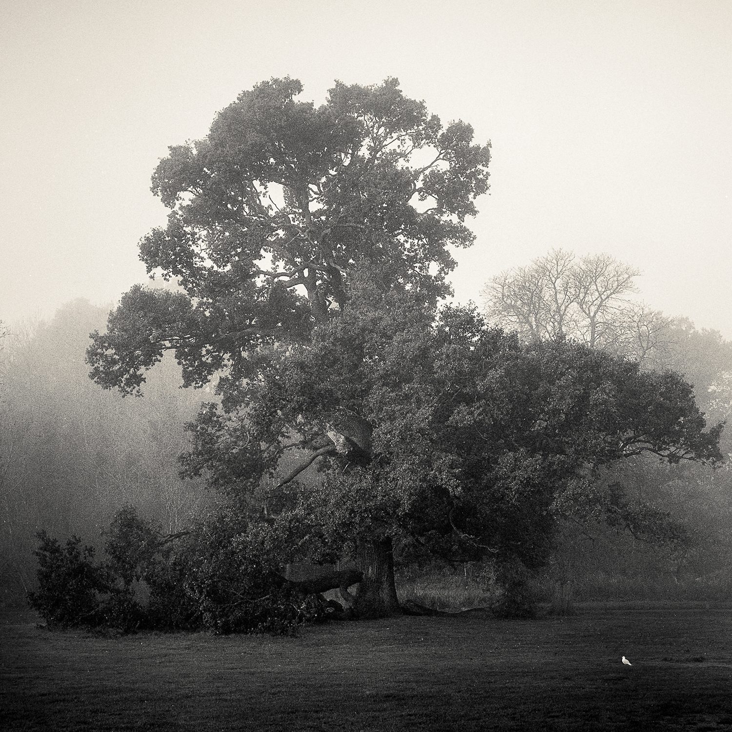 Secp Pricebradley 20180904 043