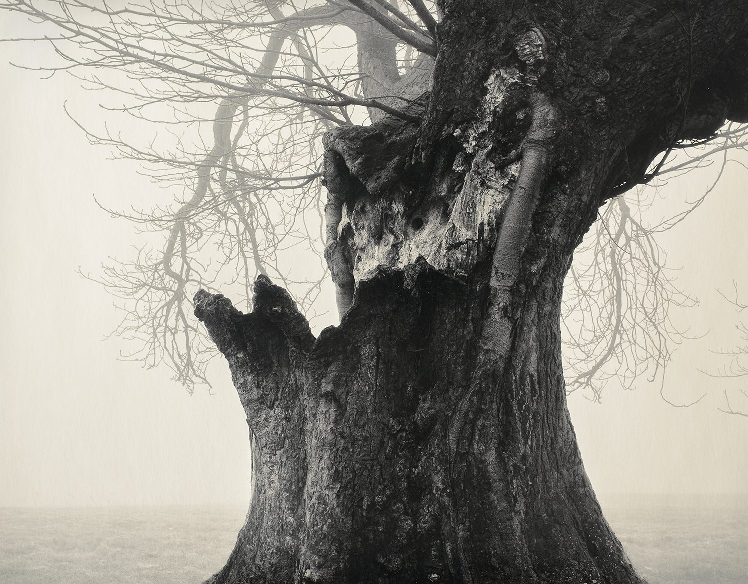 Secp Pricebradley 20180904 039