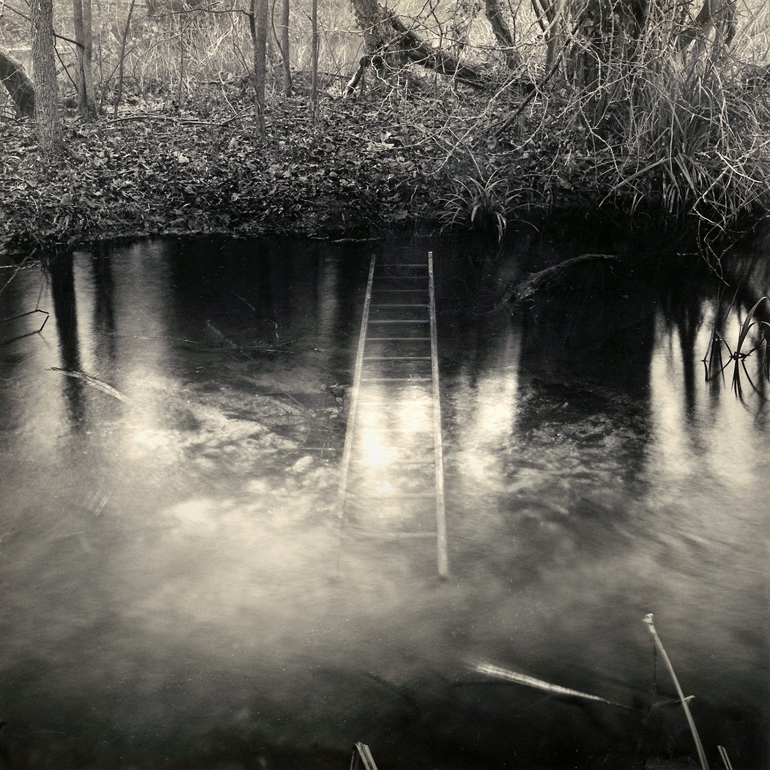 Bradley Strange Fire