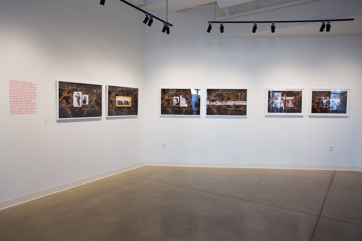 Tea Leaves, 2018, Archival inkjet print from a scanned 4x5 negative