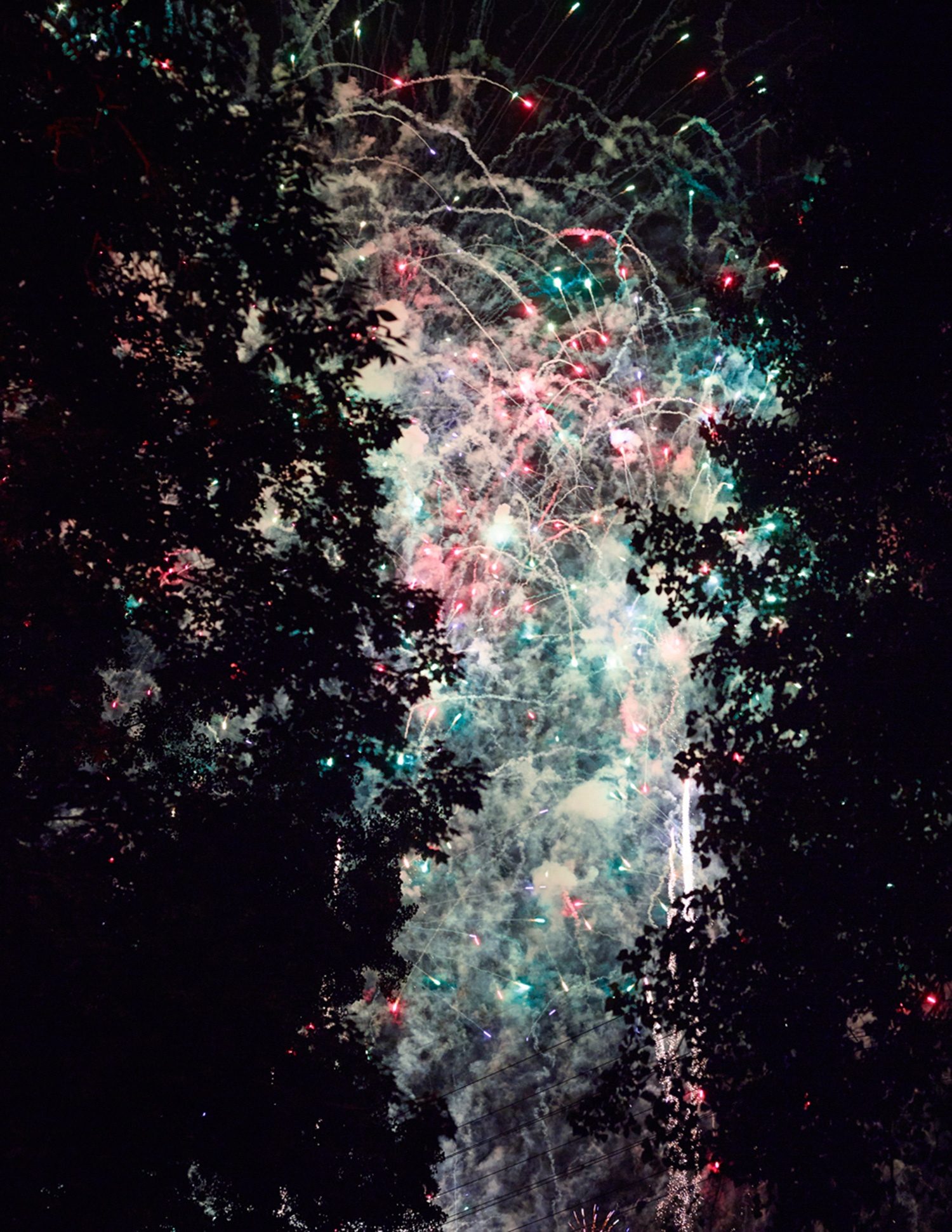 Exhib Artwork Fantasy Life 01 Jpg