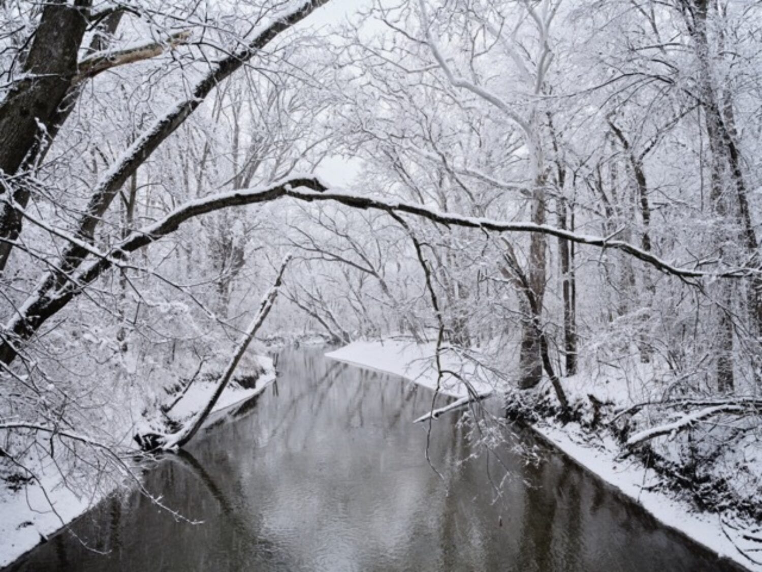 1 and Winter DSF0857 1722 Medium