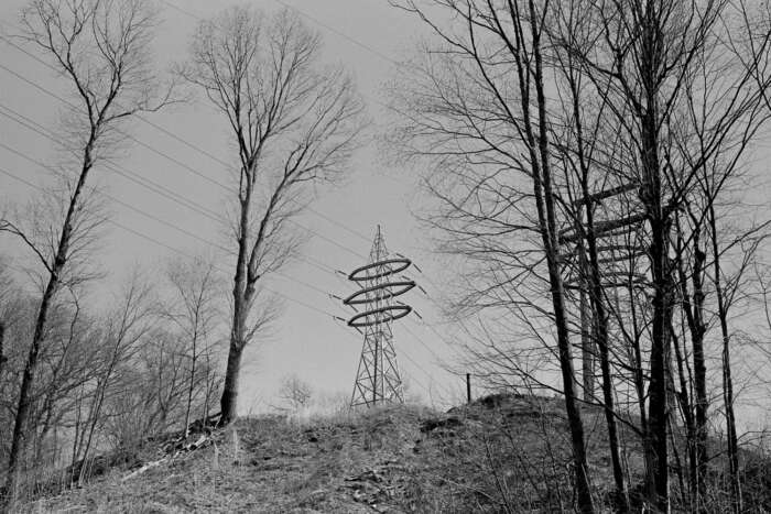 20230308 RCT 021 Sean Carroll