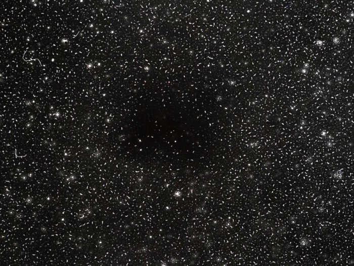 Ahmad To Become Dust That Sings Its Melody To The Night Sobia Ahmad