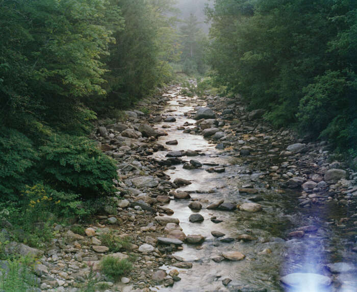 Helen Jones Apparition Vermont 2018