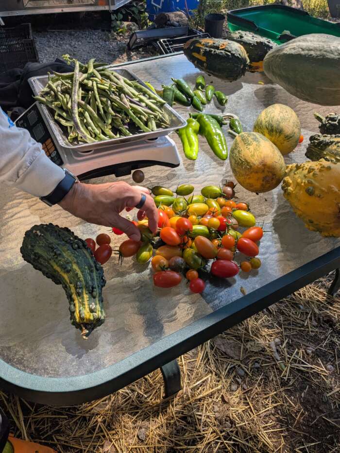 Garfield Community Farm