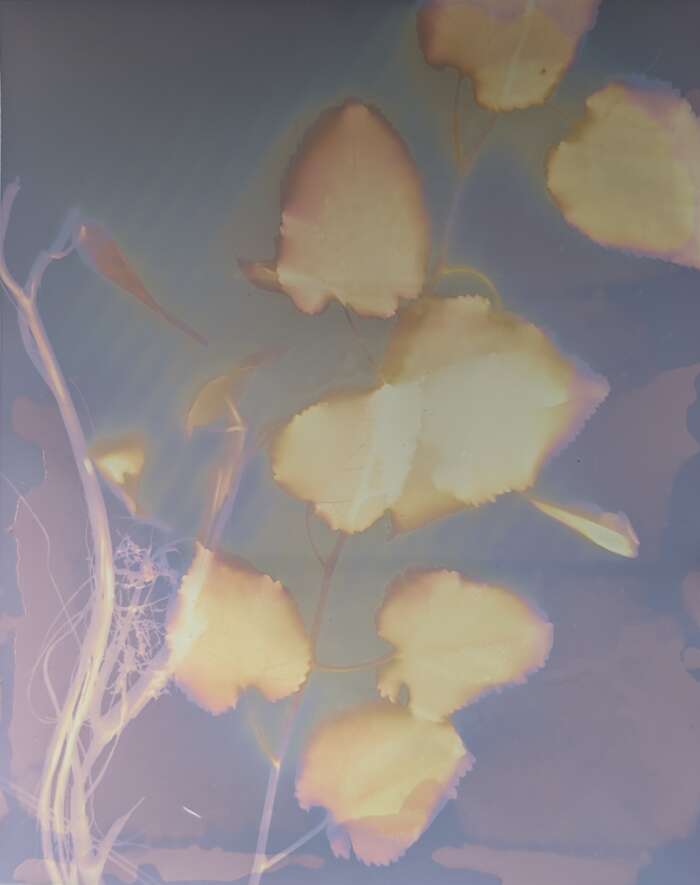 PXL 20260911 205516777 RAW 01 COVER