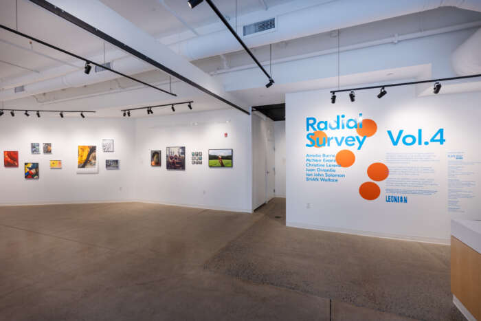 SECP Radial Survey 20251102 004