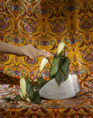 Pantyhose with Nail Guards