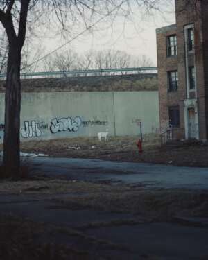 Halpern King Queen Knave 01