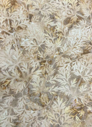 Nol Kel 1 Kelsey Nolin