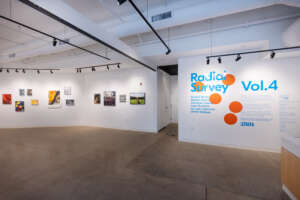 SECP Radial Survey 20251102 004