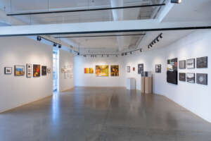 SECP Radial 20231112 008